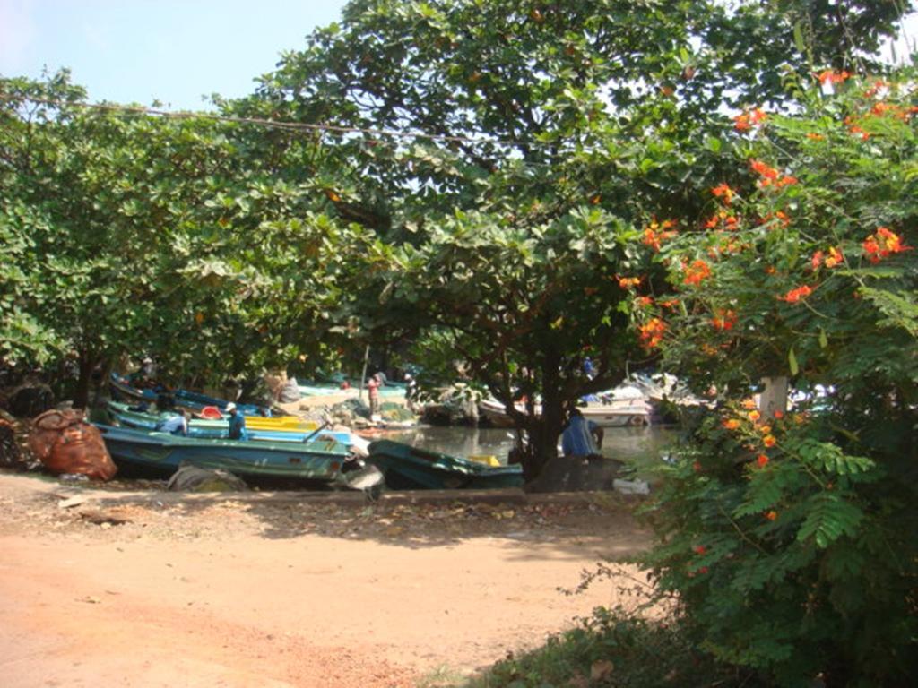 Randi Homestay In Negombo Eksteriør bilde