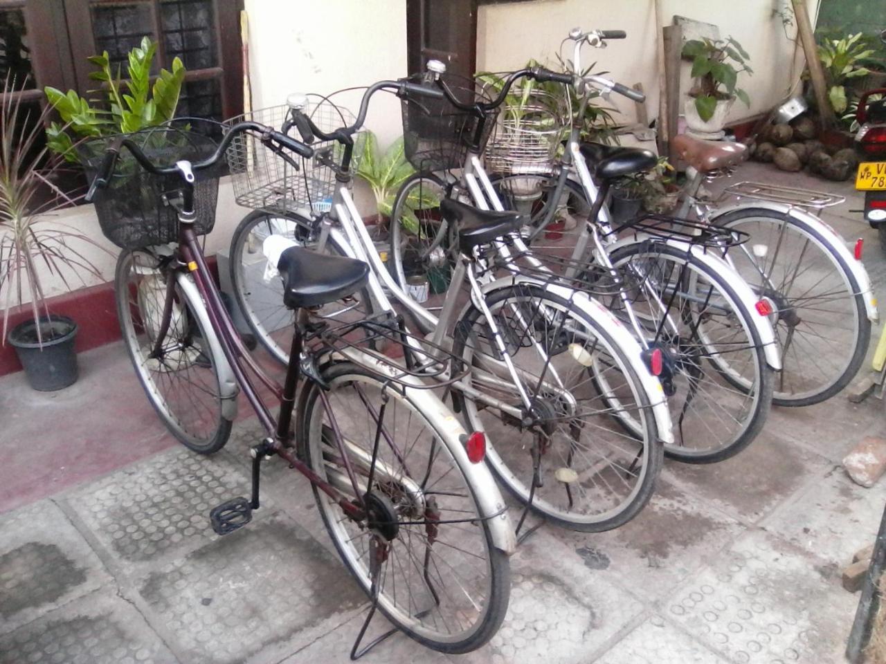 Randi Homestay In Negombo Eksteriør bilde